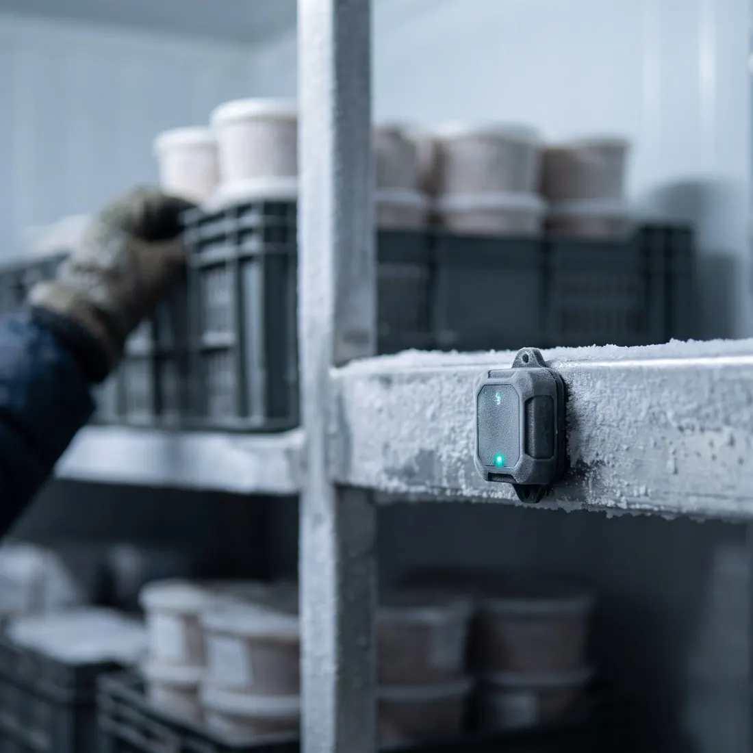ColdWatch: The detail ColdWatch reads